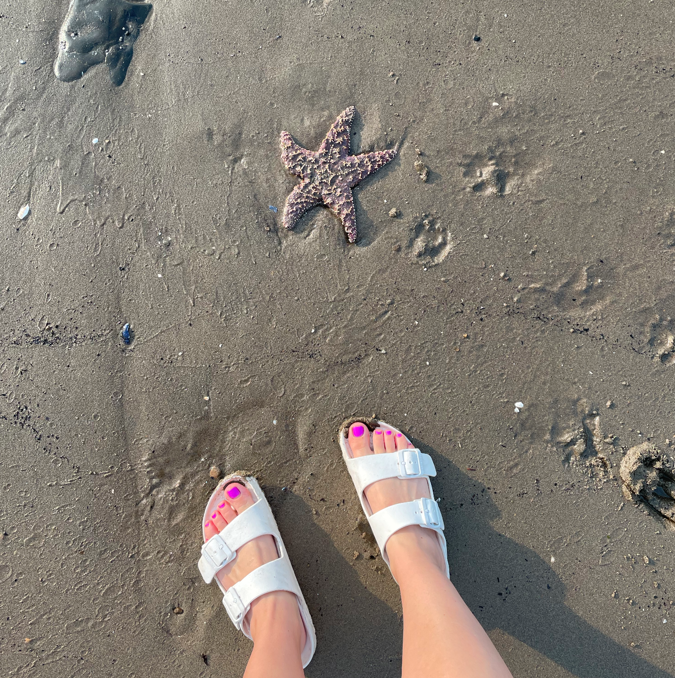 Screen Shot 2021-09-29 at 6.02.56 PM.png