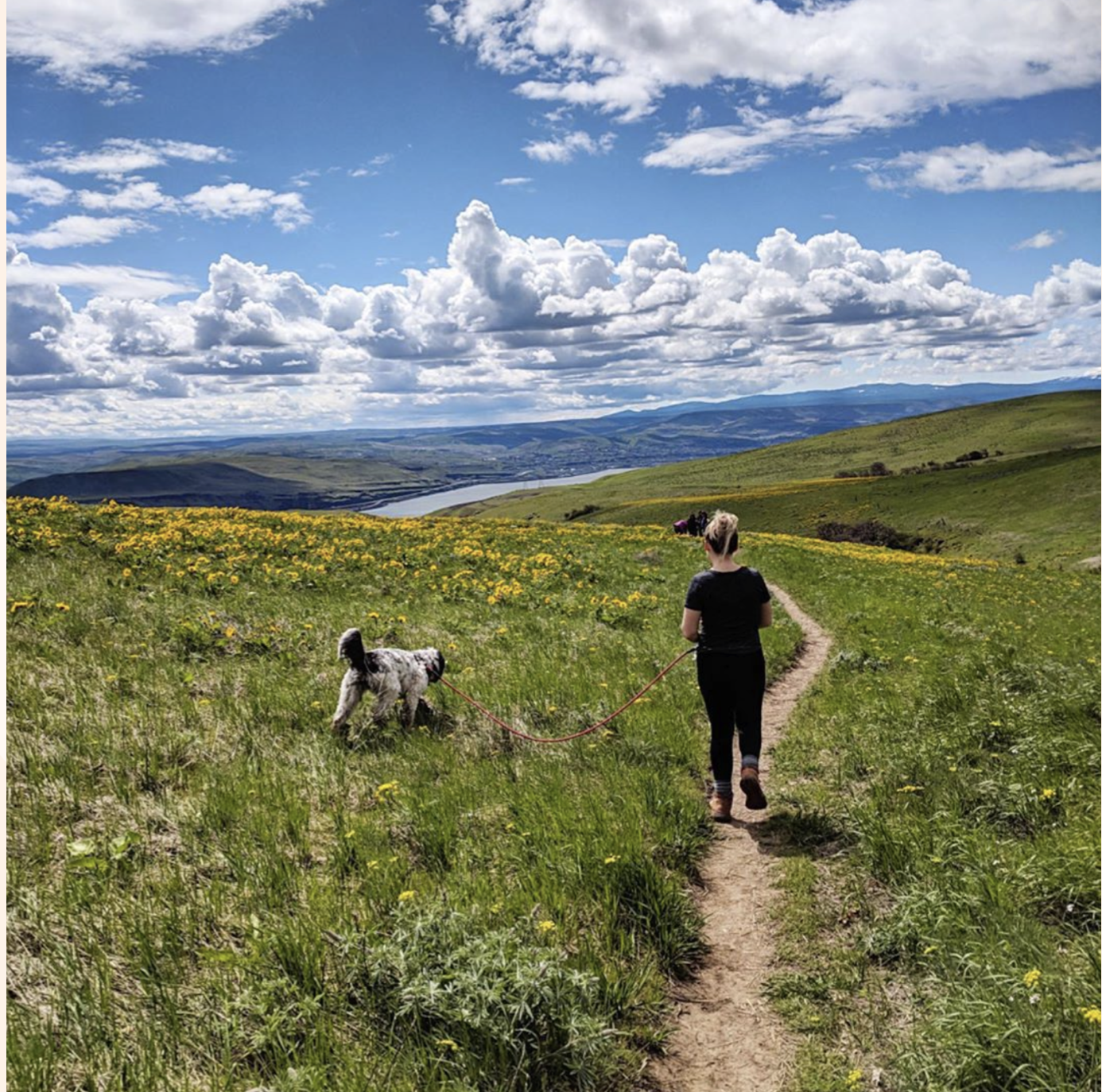 Screen Shot 2021-11-01 at 12.39.36 PM.png