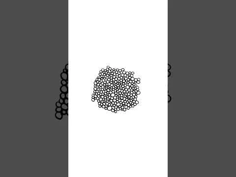 Stillness Study 01 - visual meditations with ambient sound