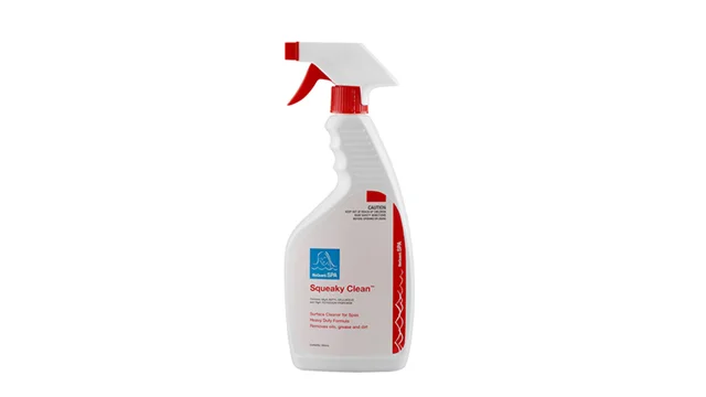 Spa-SqueekyClean.jpg