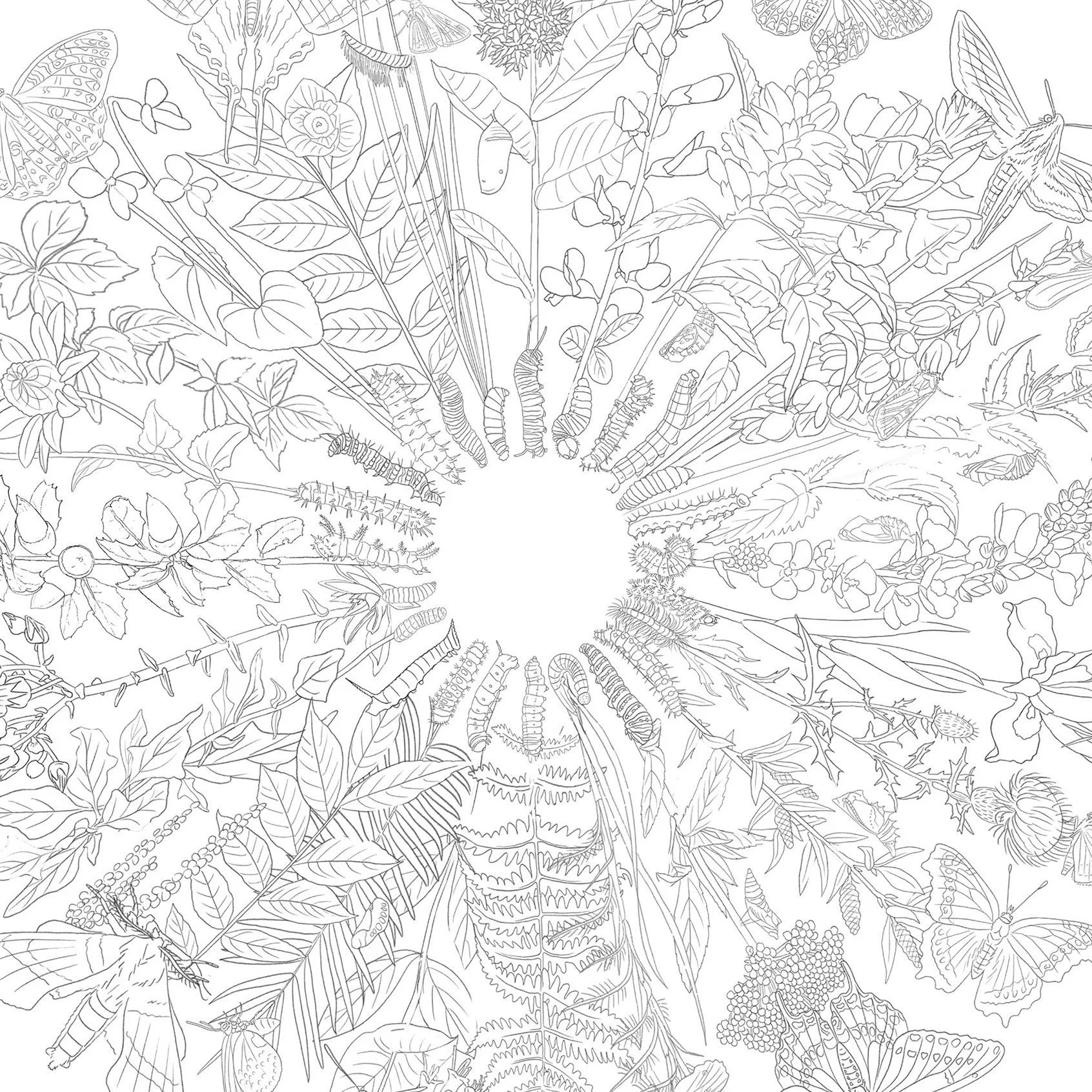 Coloring page_websote copy.jpg