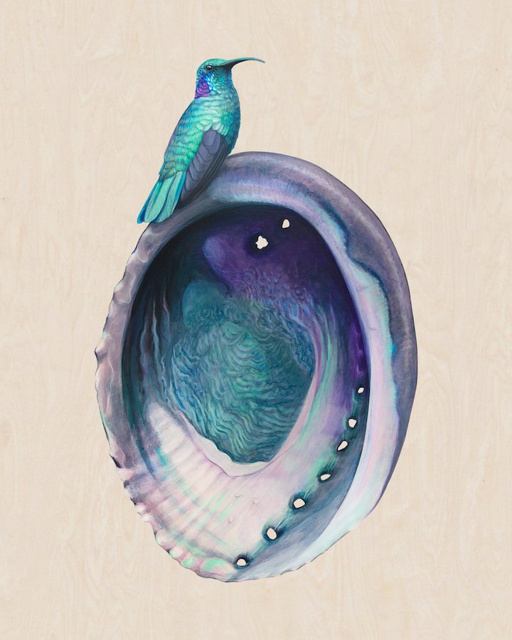 Abalone:Hummingbird_wood_72dpi.jpg