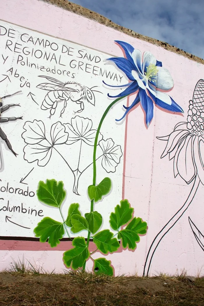 Catie Michel_CO Columbine copy.jpg