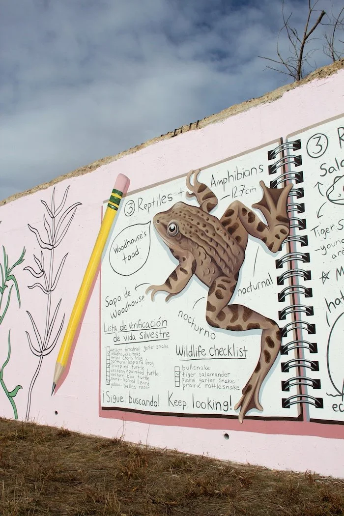 Catie Michel_Woodhouse's Toad copy.jpg
