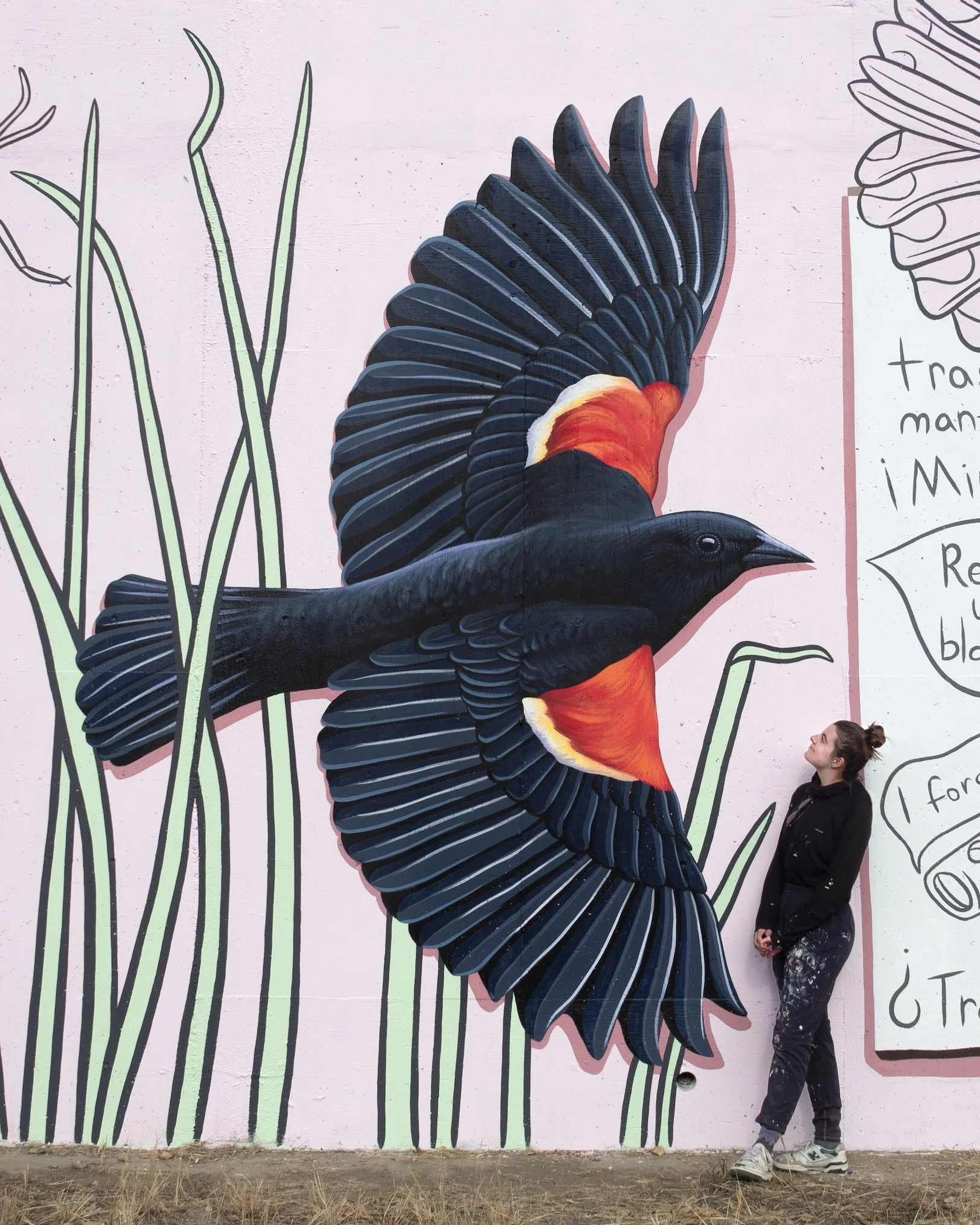 Catie Michel_Red-winged Blackbird 1.jpg