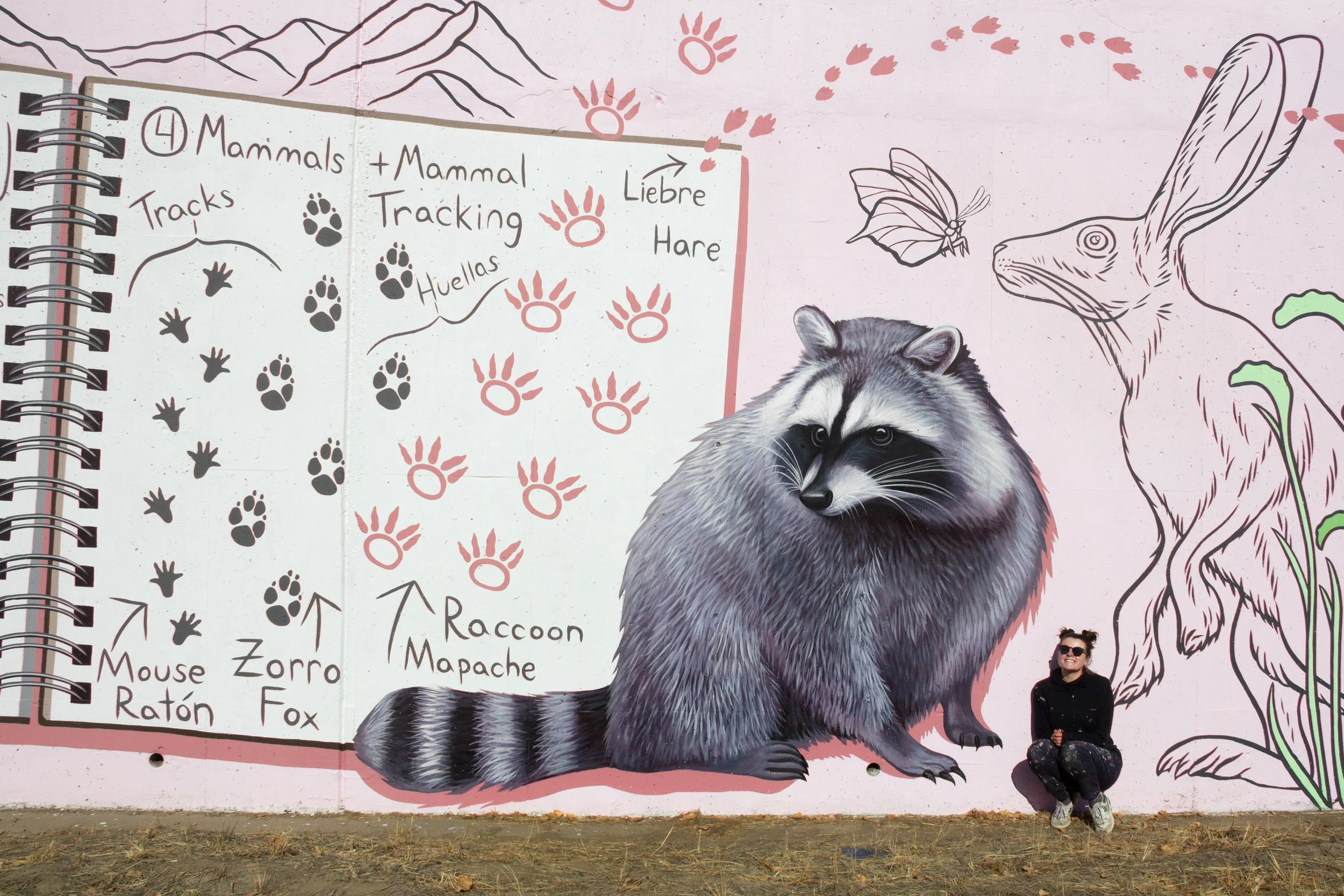 Catie Michel_Raccoon 1.jpg
