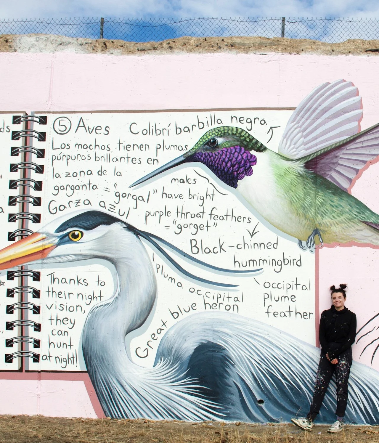 Catie Michel_Birds Notebook 2 copy.jpg