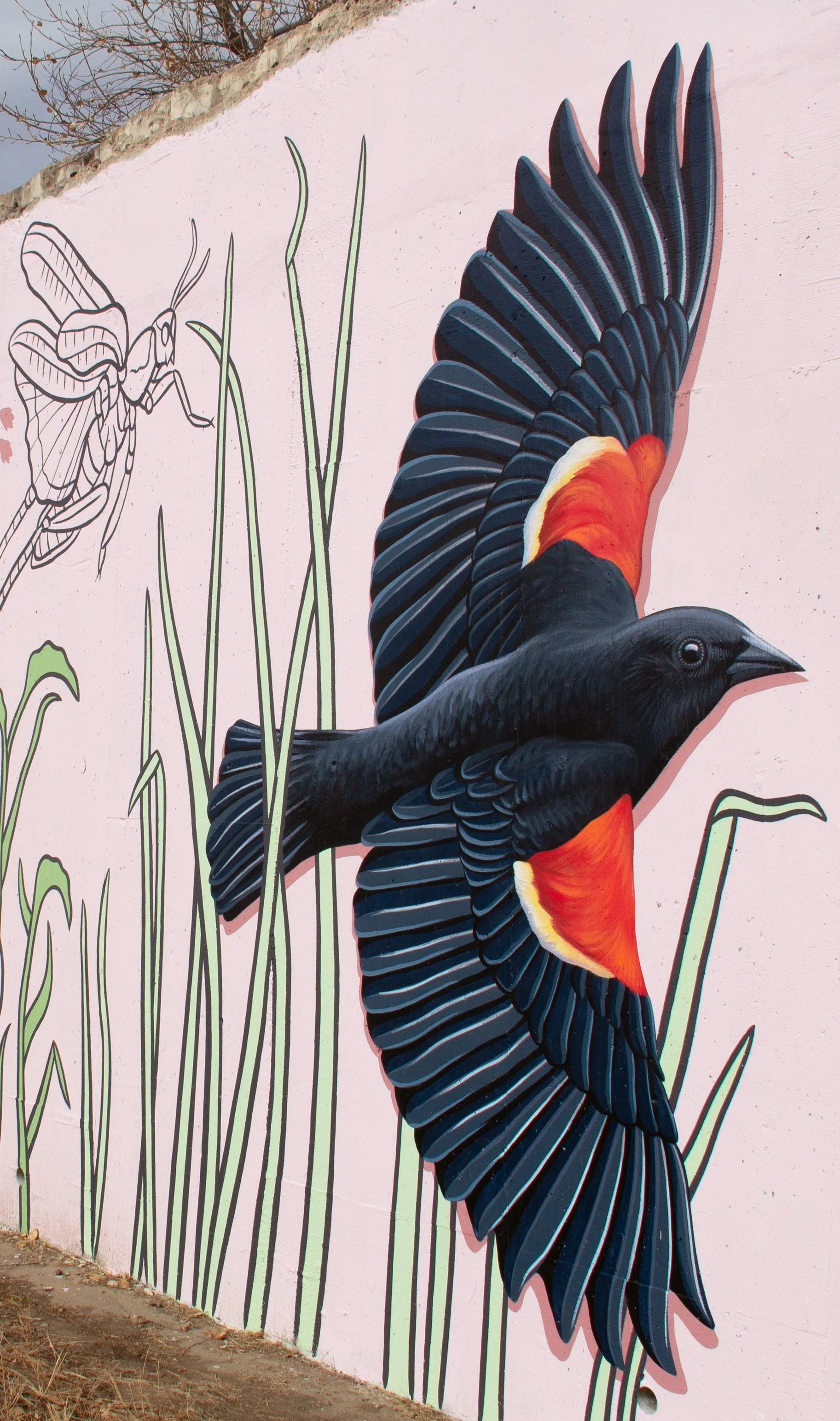 Catie Michel_Blackbird crop.jpg