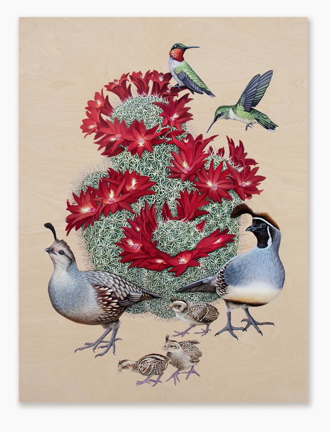 Screenshot 2026-01-05 at 1.15.19 PM.png