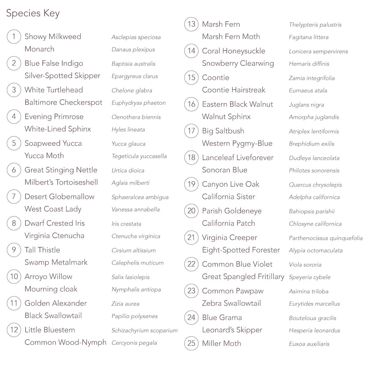 Species Key2_website.jpg