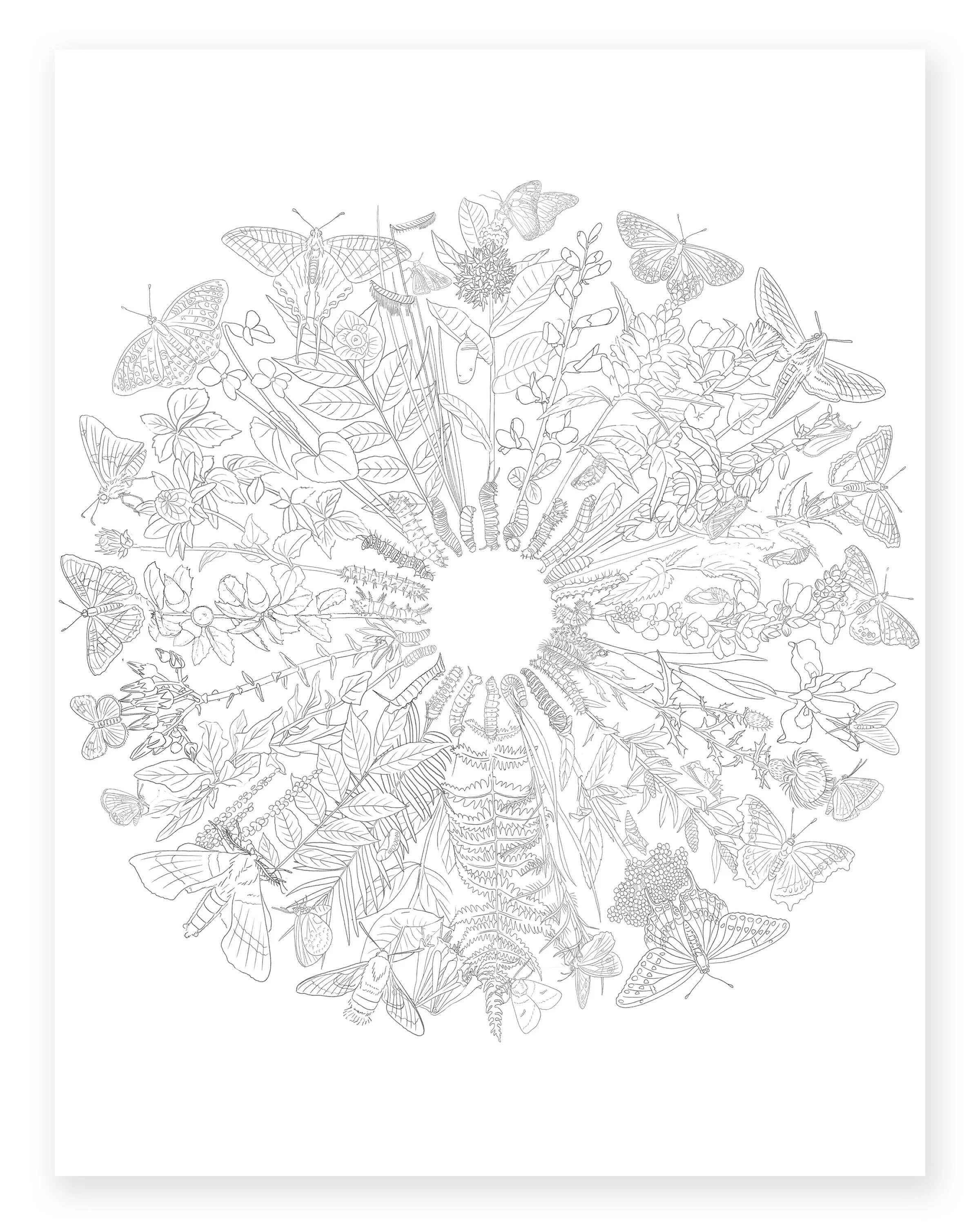 Carrier Bag Theory of Conservation Coloring Page
