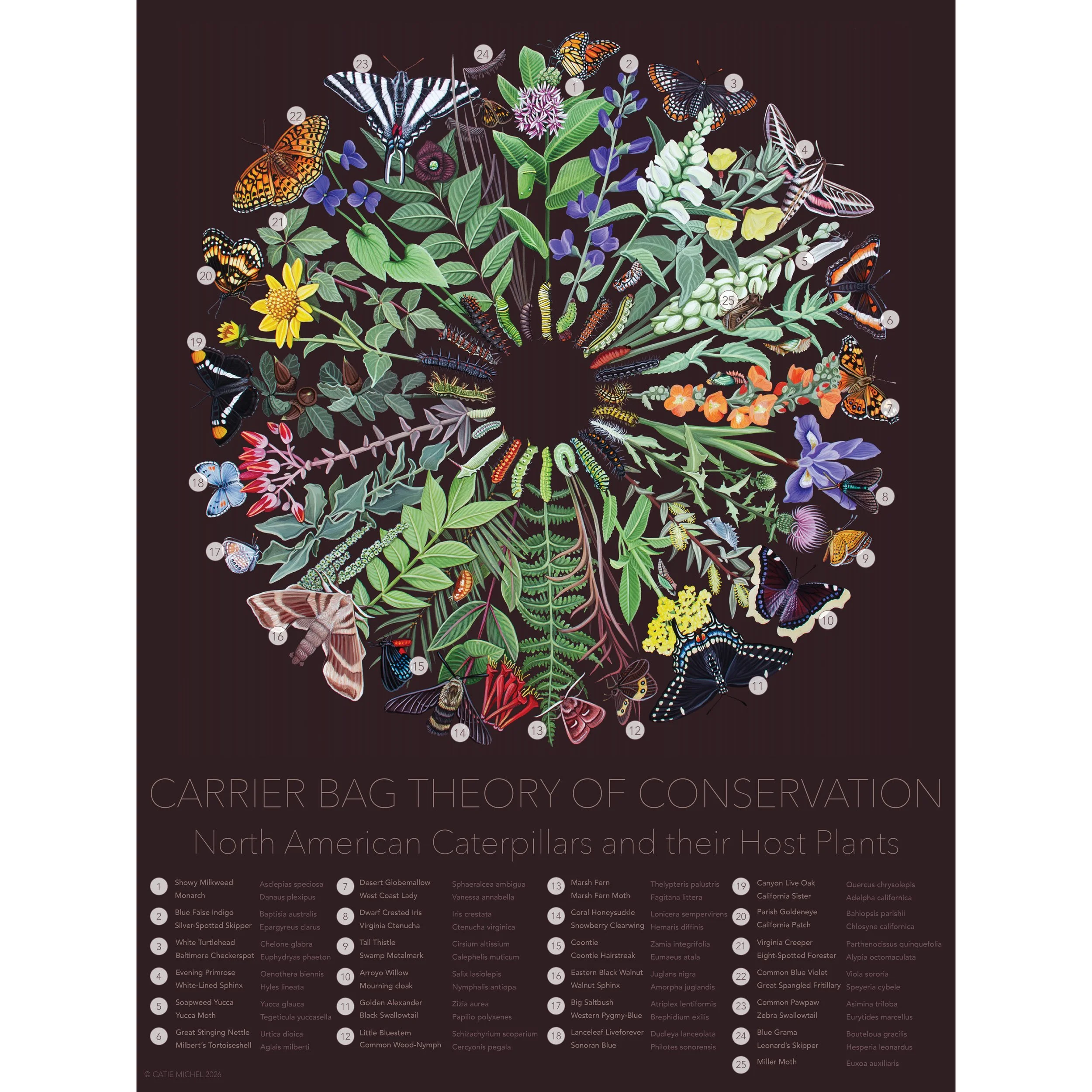Carrier Bag Theory of Conservation Poster