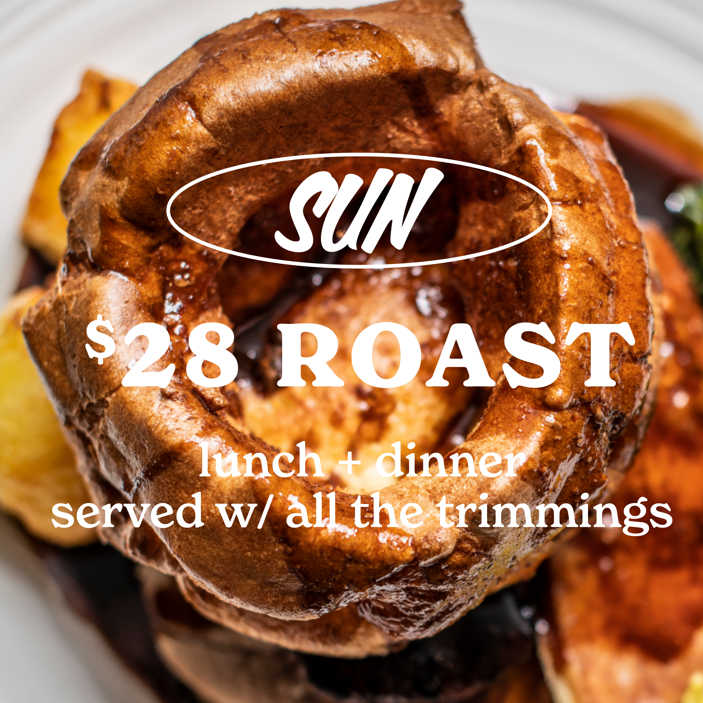 SUN WEBSITE-01.png