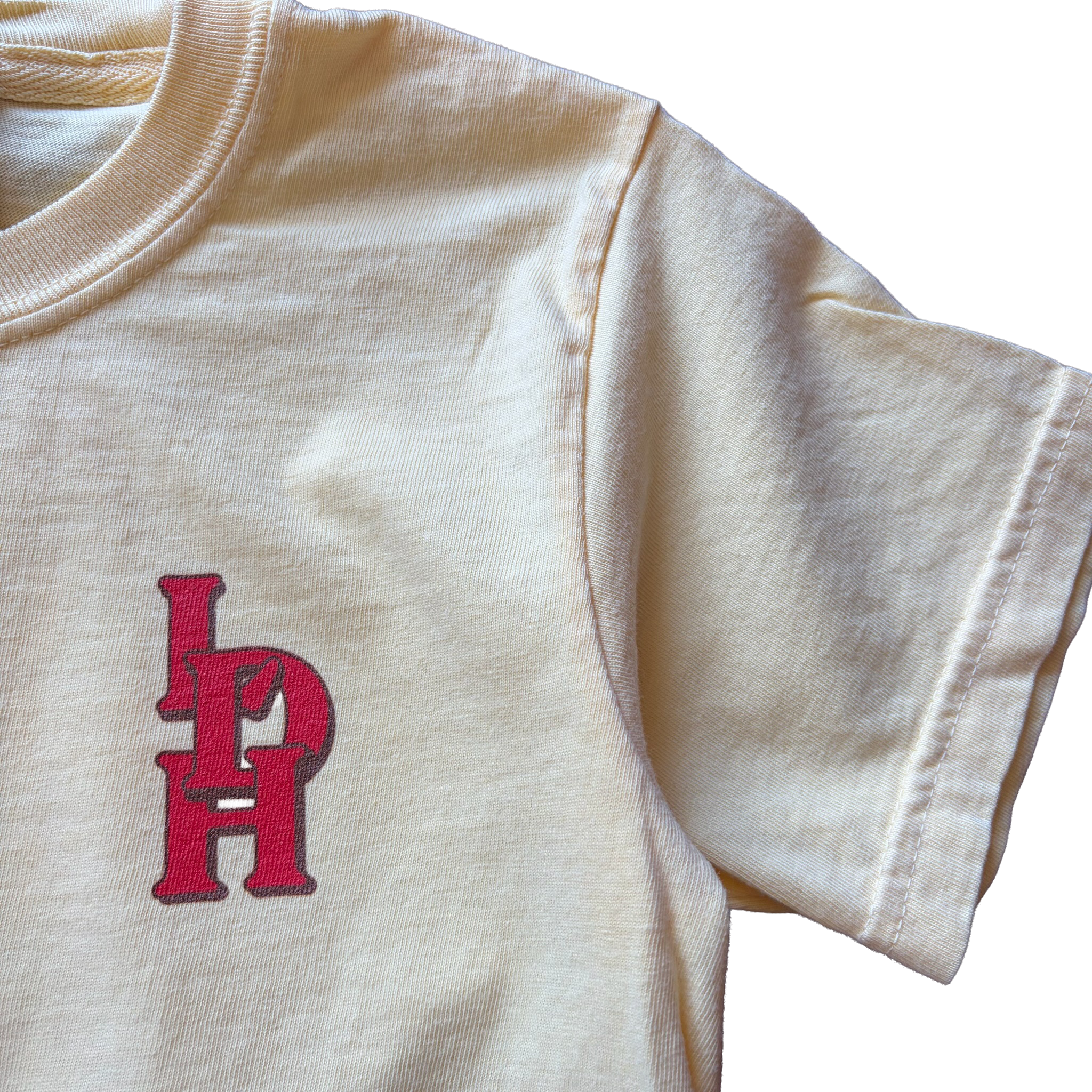 kids tee close up.png