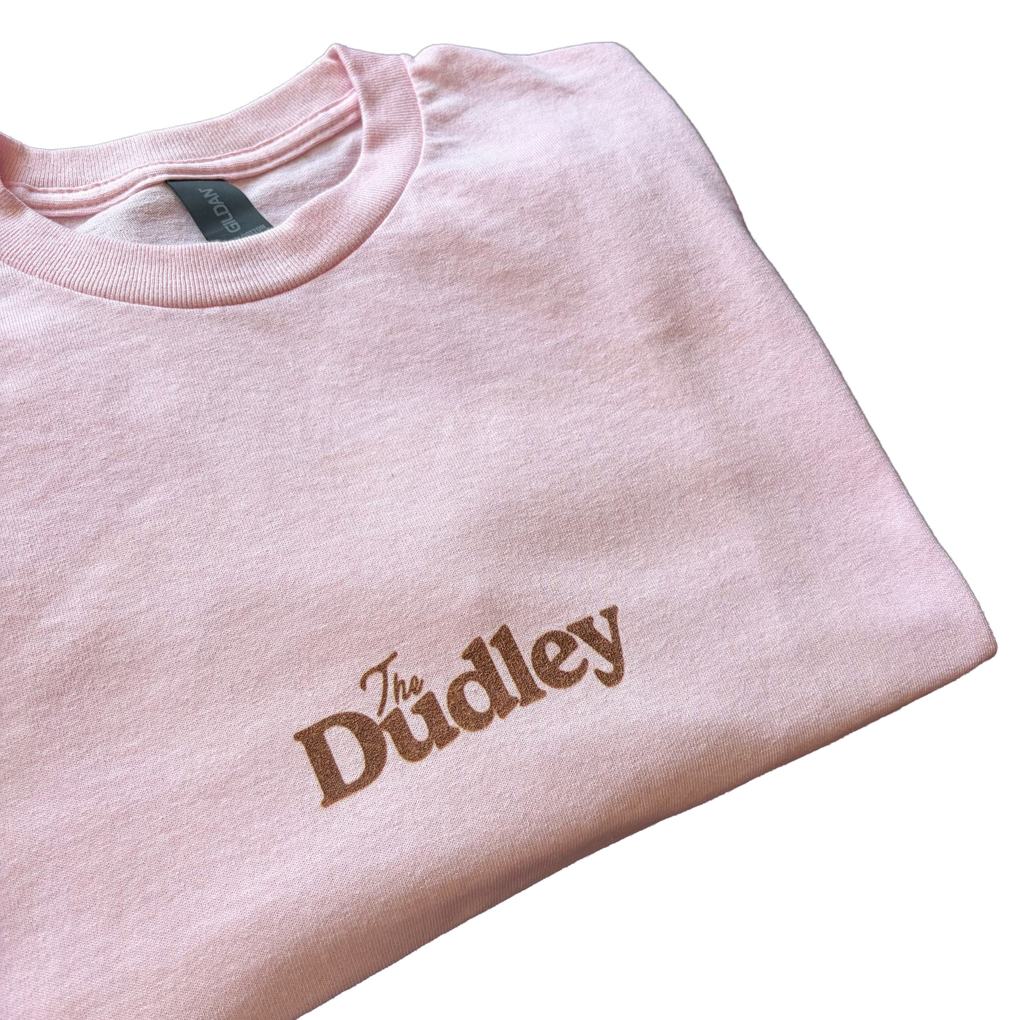 pink tee front close up 3.png
