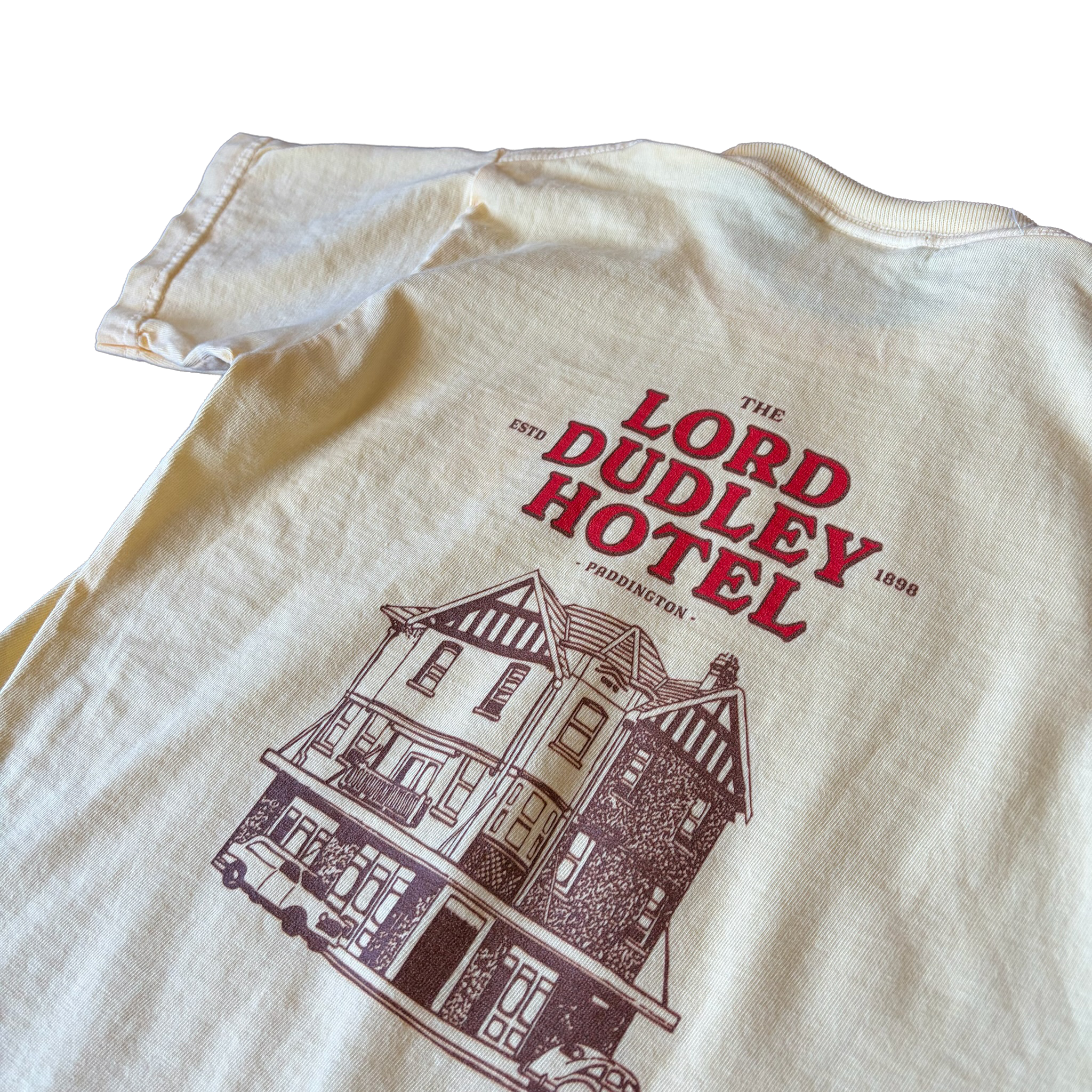 kids tee back close up.png