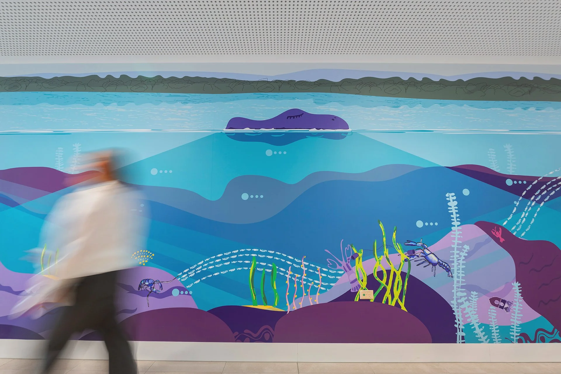 Sydney Children's Hospital, Westmead Redevelopment Envirographics Program