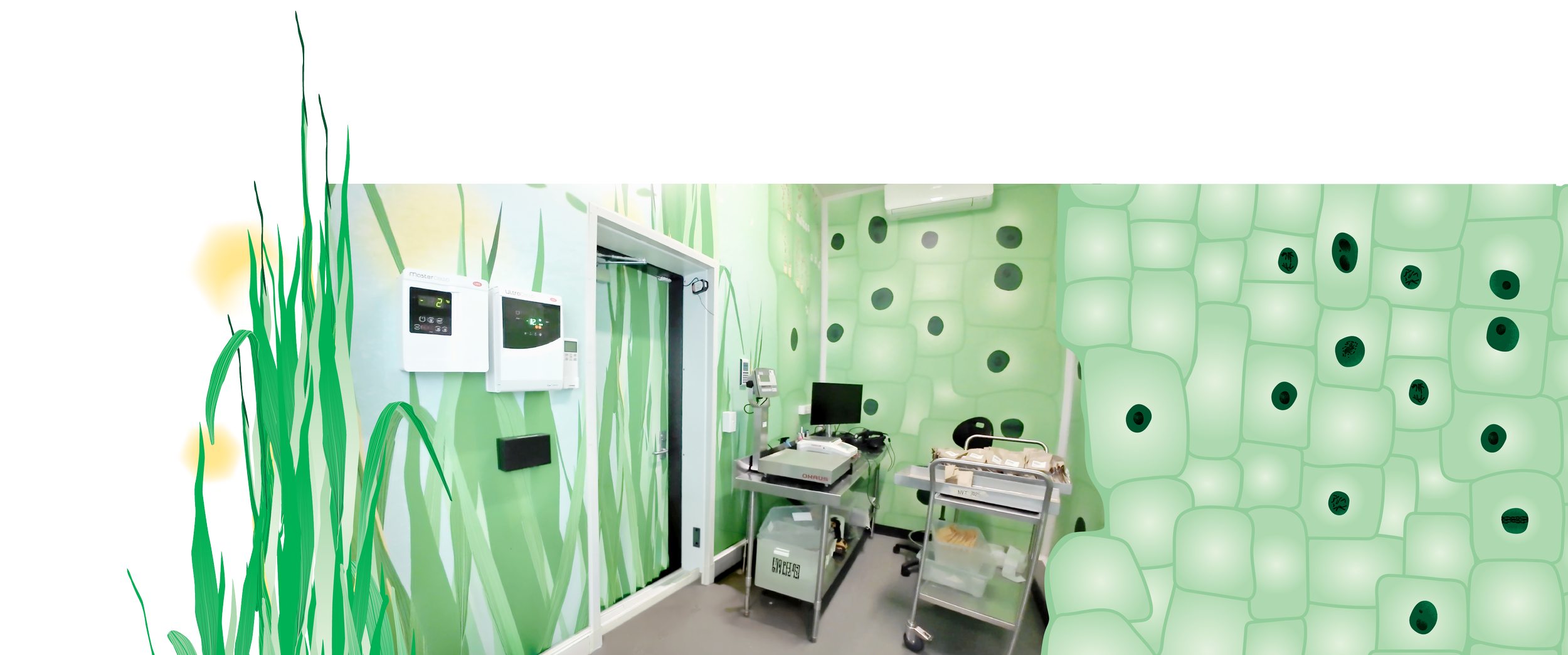 NSW DPIRD Growth Room Envirographics detail Minta Viski