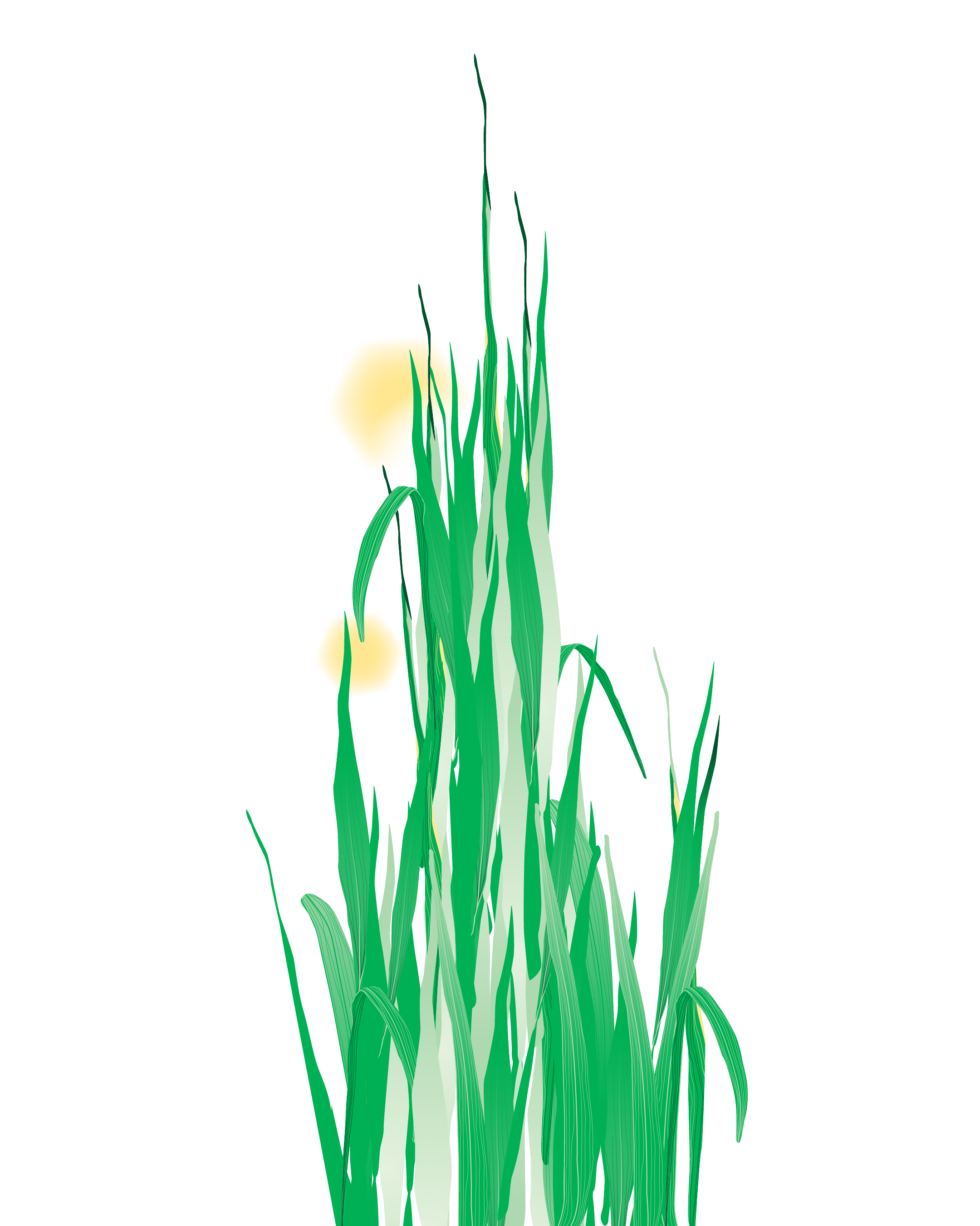 Minta Viski NSWDPIRD Seed Vault and Growth Rooms Envirographics