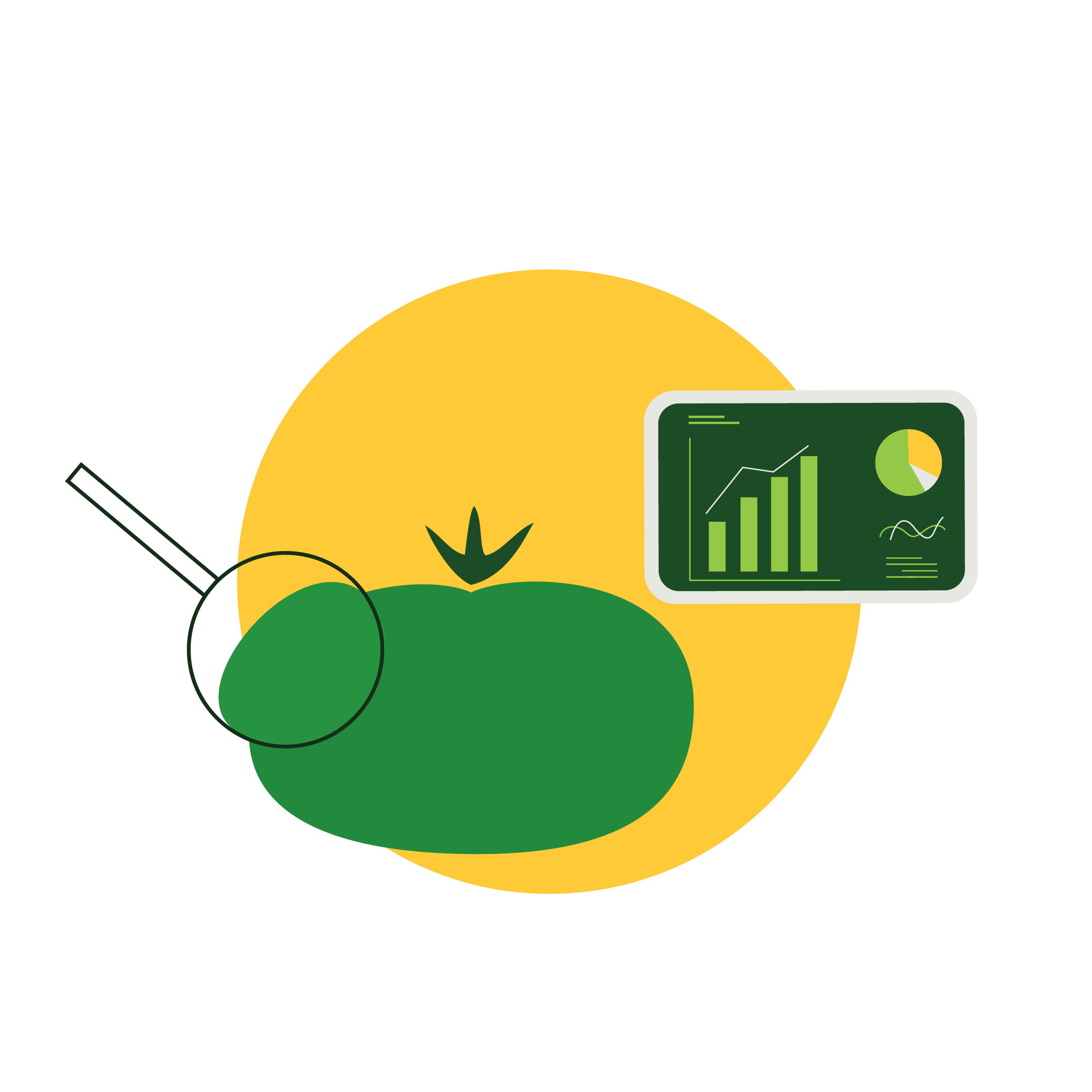 Freshcare Graphic Design by Minta Viski