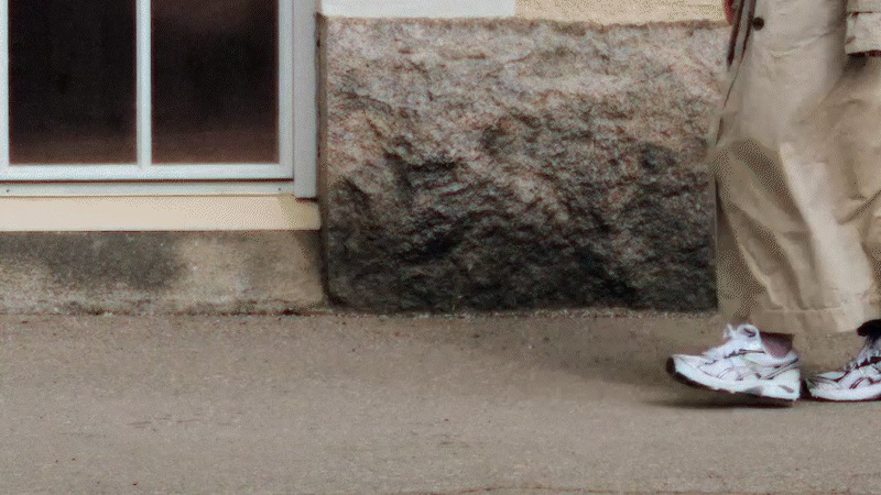 shoe.gif
