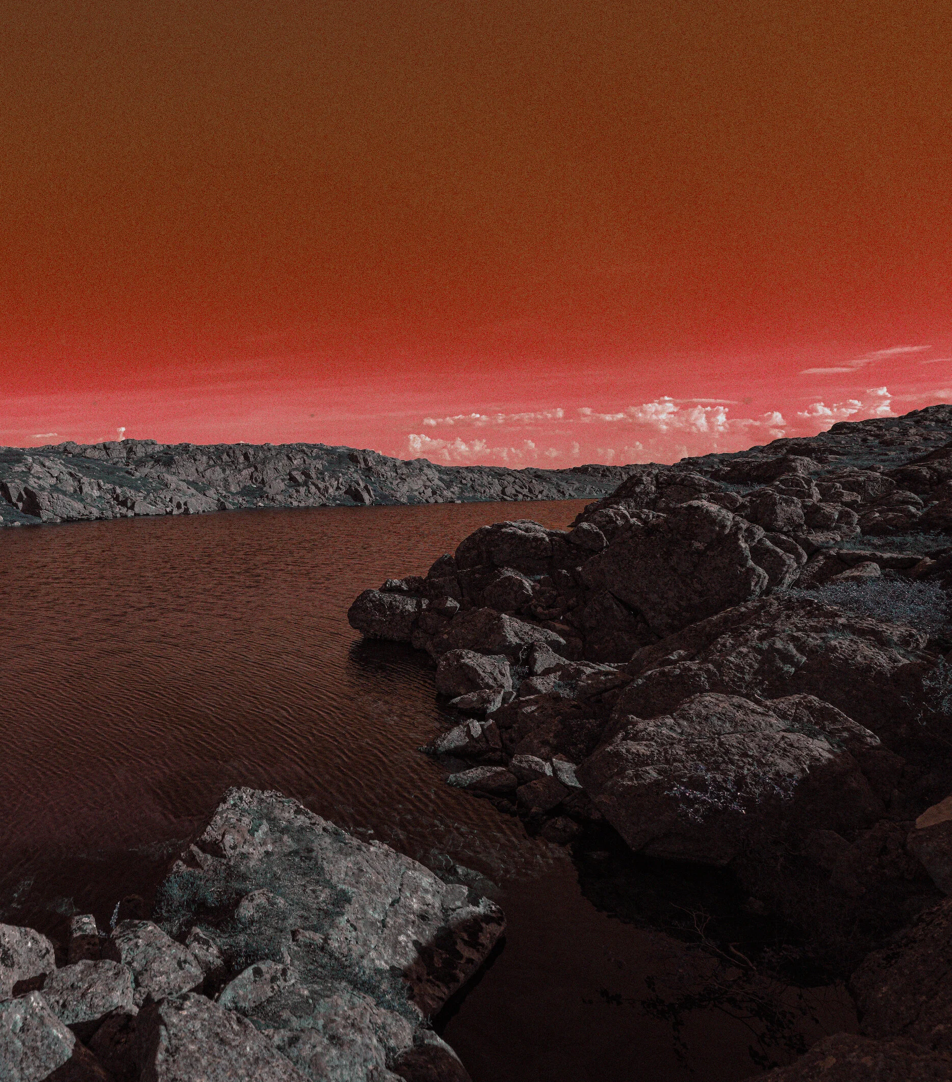 DSC04416edred copy.jpg