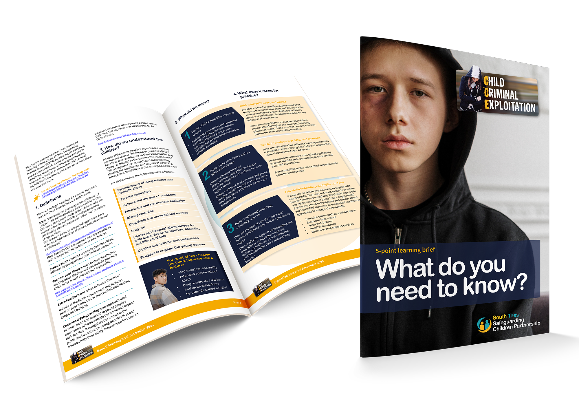 what you need to know mock.png