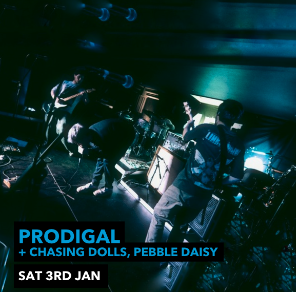 Prodigal, Chasing Dolls, Pebble Daisy