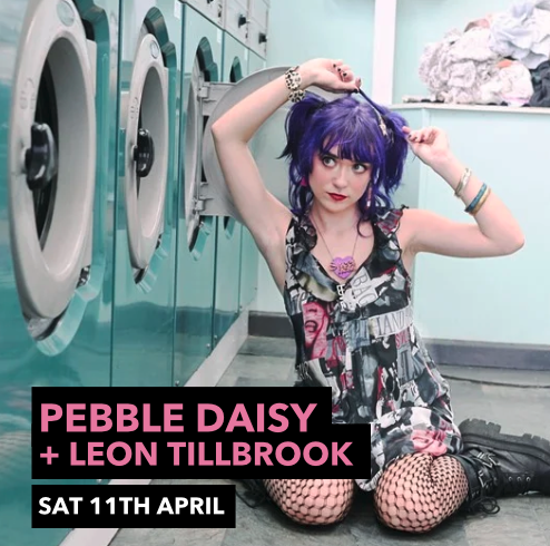 Pebble Daisy, Leon Tilbrook 