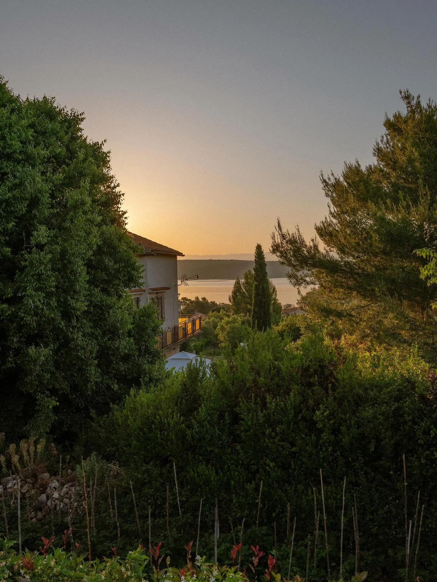 From golden dusk to gentle dawn ✨
Evenings that glow, mornings that breathe, both from the comfort of your terrace at Galboka Residence 🌿🌊

#galbokaresidence #coastalretreat #terraceviews #seasideescape #mediterreanlife #croatia #malilosinj #nerezi