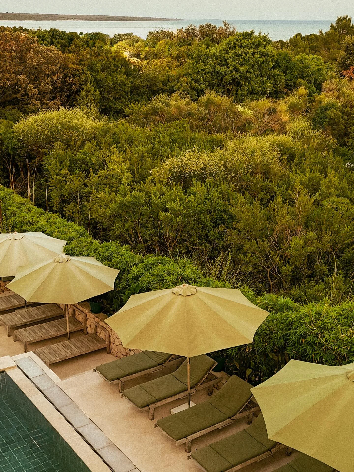 A pool designed for serenity. ✨
Cool green tiles, sunlit water, and space to simply drift the day away, surrounded by the calm rhythm of island life 🌊🌿

#galbokaresidence #seasideescale #poolgoals #boutiquestay #hiddenparadise #photoshootlocation #
