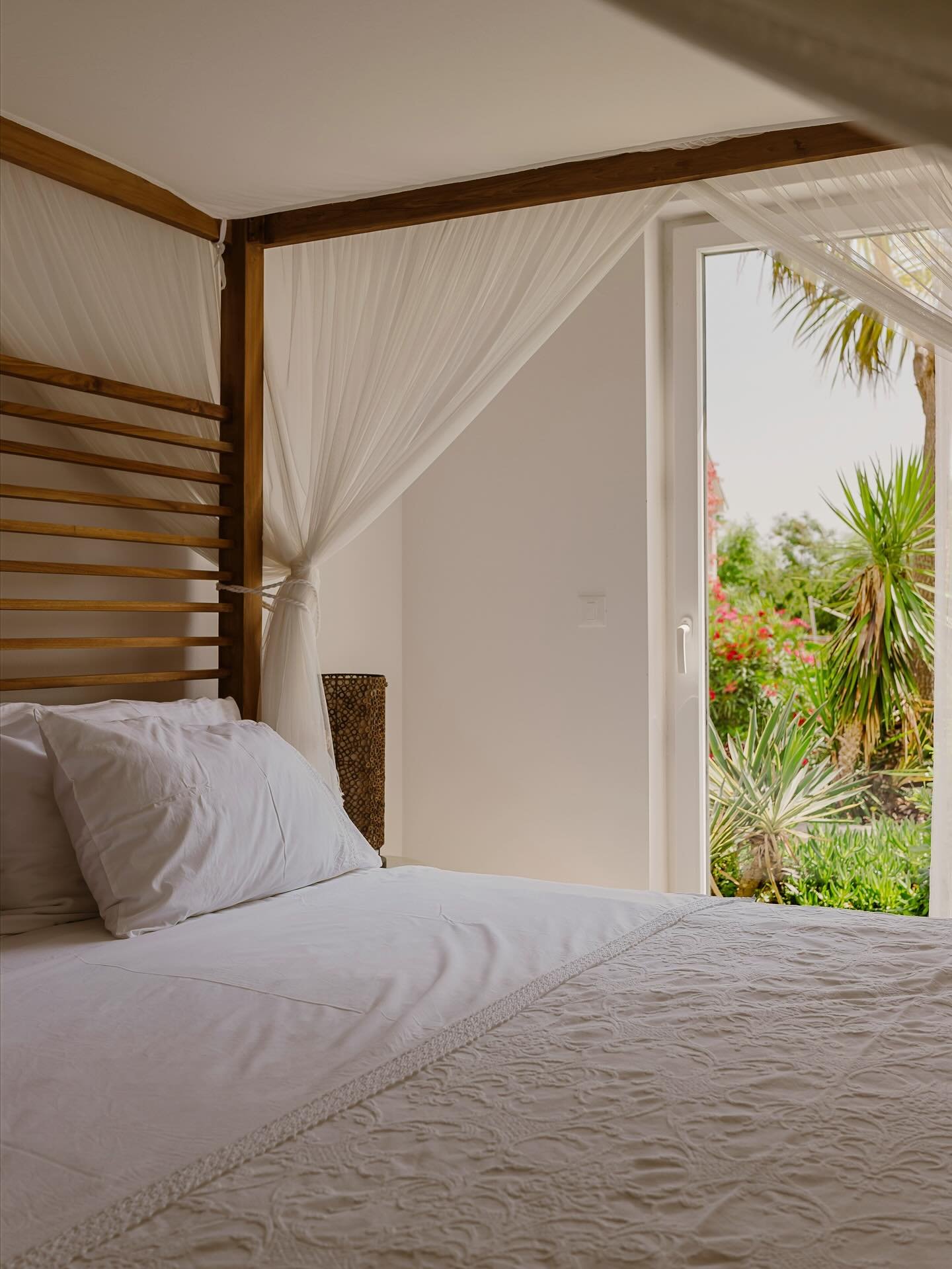 Where mornings begin softly and the garden is never far away 🌿✨

#galbokaresidence #easymornings #gardenviews #quietluxury #islandescape #morninglight #travelinspi̇ration #croatia #malilosinj #nerezine #galbokabeach