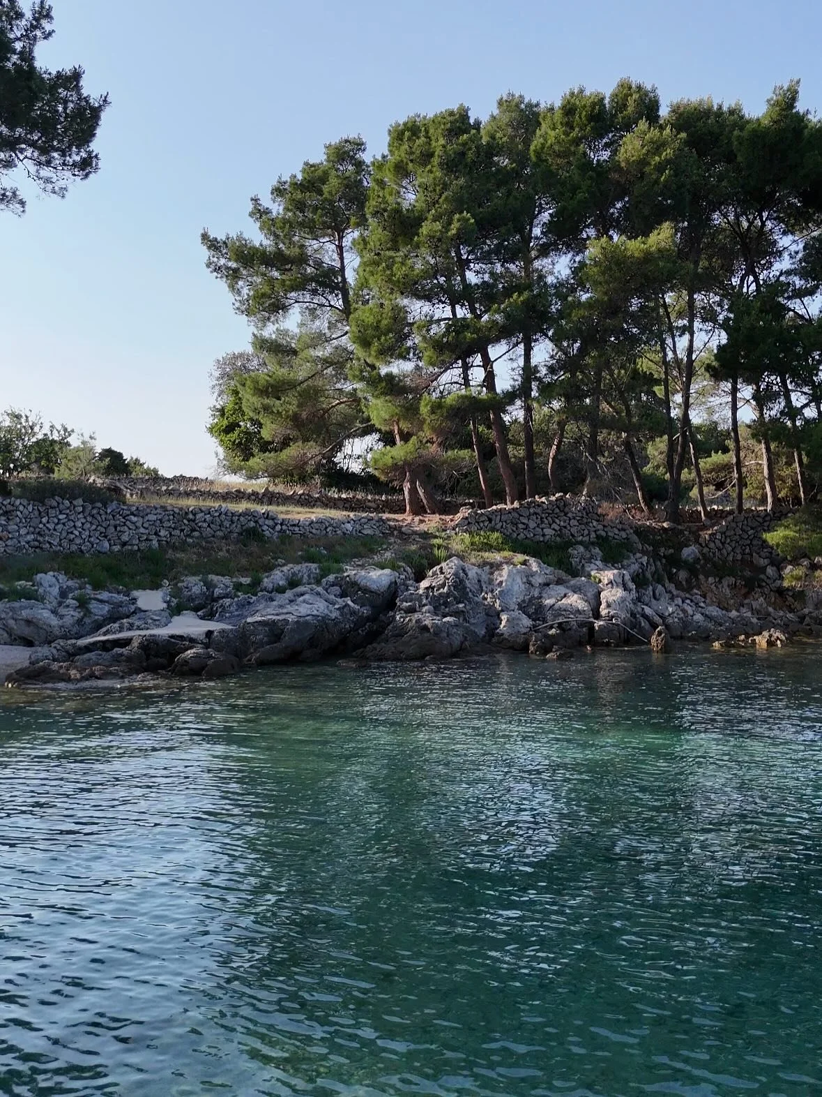 Still moments at Galboka beach, where time slows and summer always feels close ✨

#galbokaresidence #islandescape #seasidecalm #slowliving #adriaticsea #travelinspiration #croatia #malilosinj #nerezine #galbokabeach