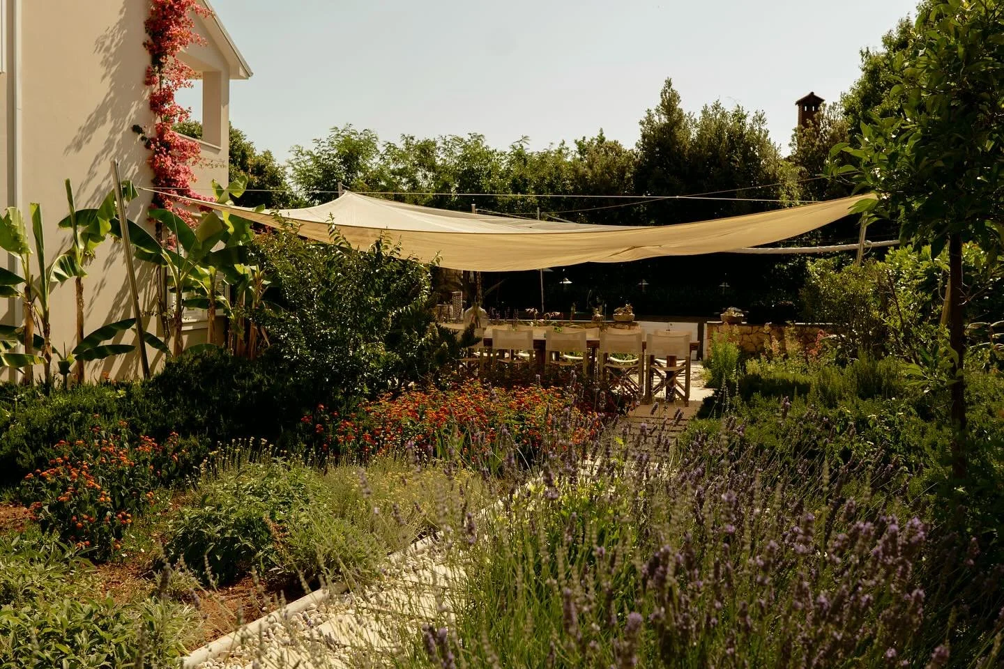 This is where our summer evenings stretch a little longer 🌿

#galbokaresidence #summerevenings #familyvacation #yogaretreat #croatiaescape  #adriaticholidays #slowliving #croatia #malilosinj #nerezine