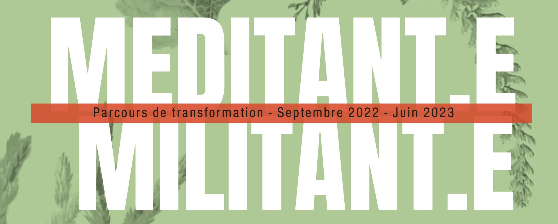 Parcours de transformation : Méditant.e Militant.e
