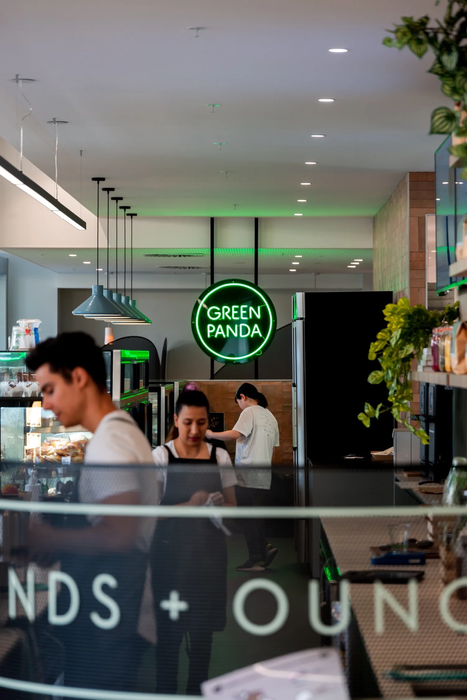 Green Panda Sushi neon sign detail, Tasmania