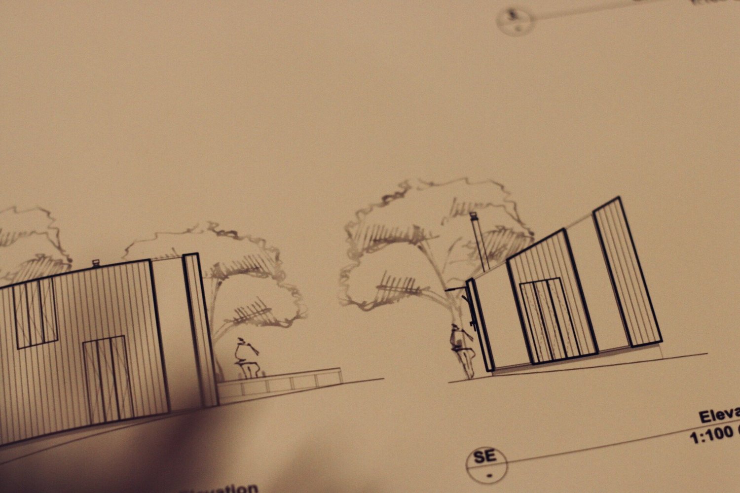 Tasmanian Garden Studio — hand-drawn drawing