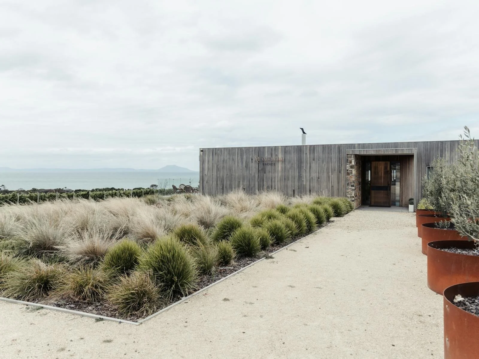 Mayfield Estate Tasting Bar vaulted interior, east coast Tasmania