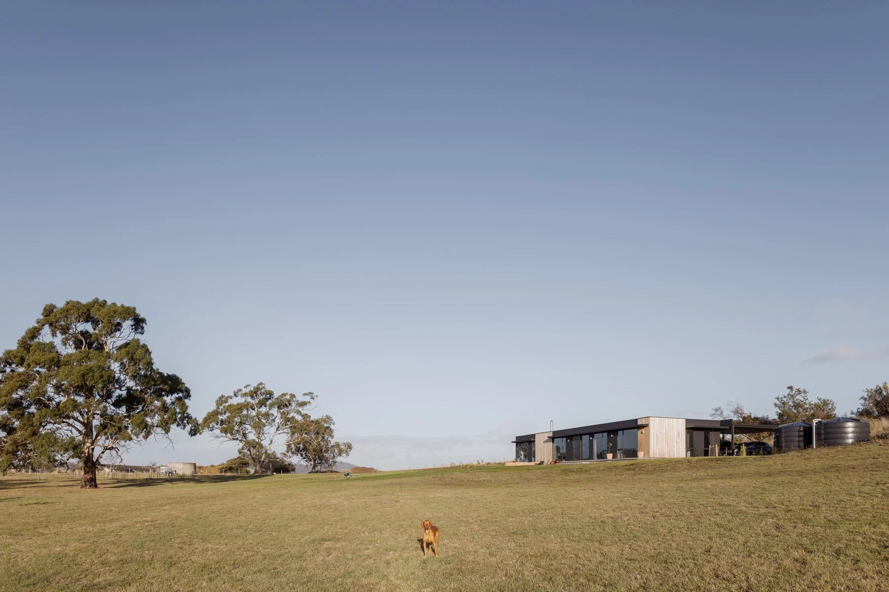 Saxon Hall — architecture tutoring