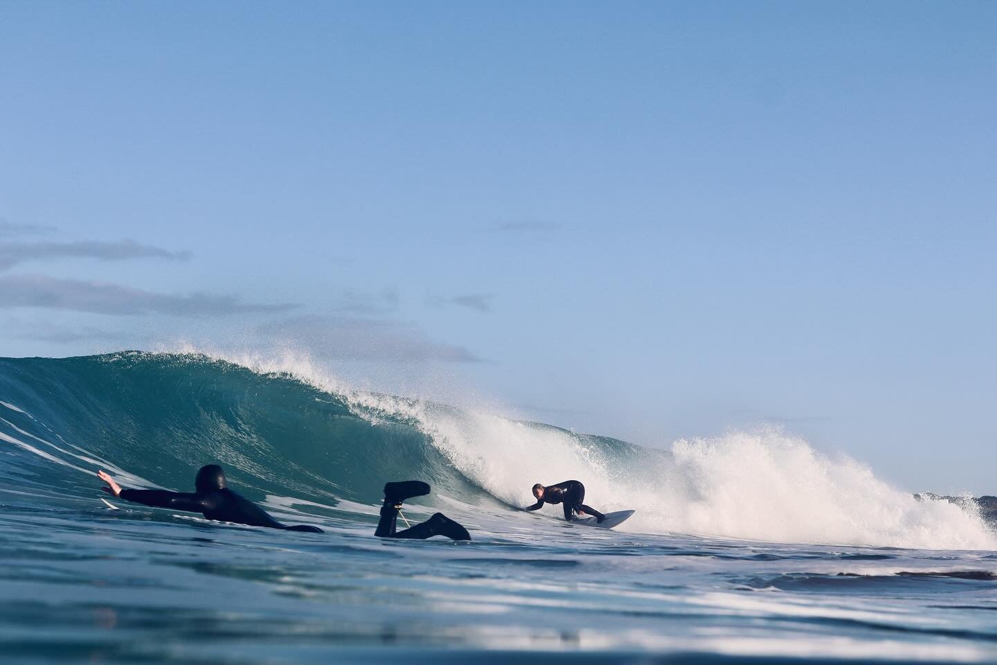 Early start for these lot on Wednesday. 

Cant wait around on these golden Winter days. Featuring Sof, Ben, Jo Jo, Charlie and Big Willy on the camera @willownorrisphoto 

Who did it best?