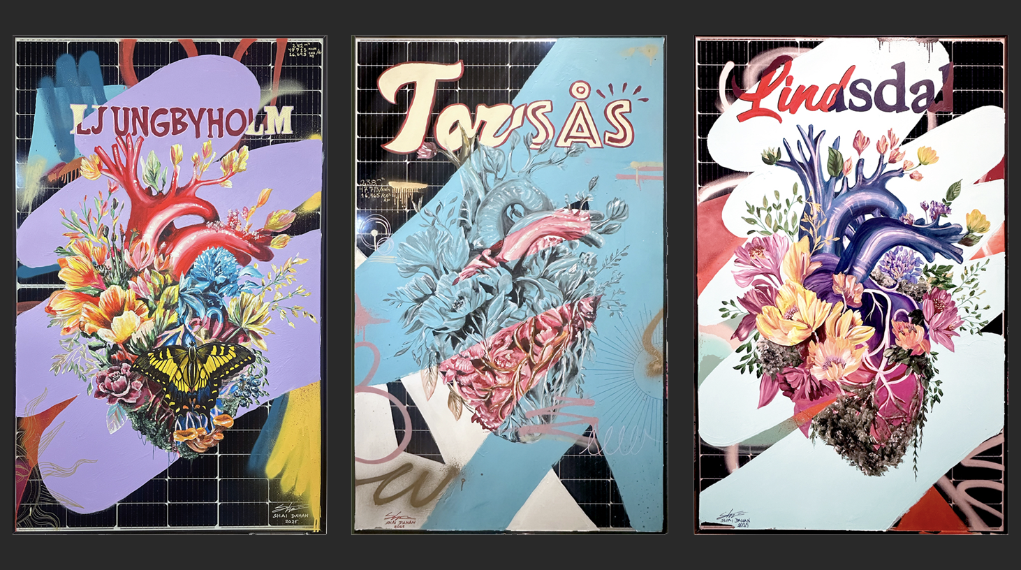 SOLAR PANEL ART FOR HOSPITALS