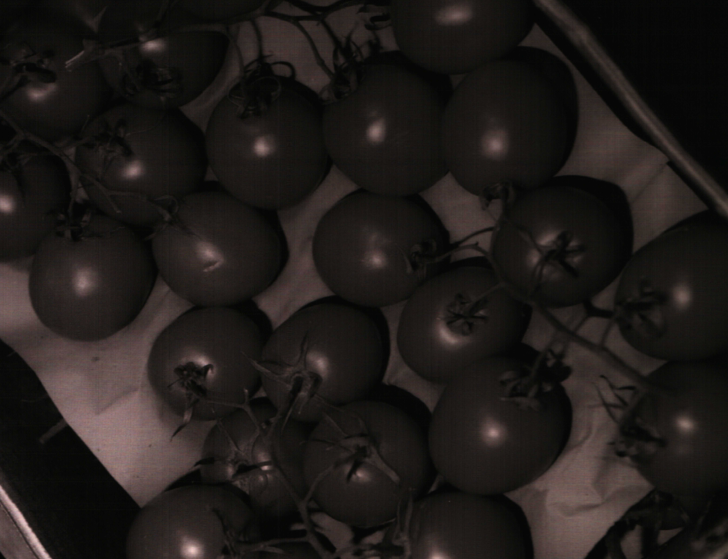 Screen Shot 2026-03-18 at 9.47.00 pm.png