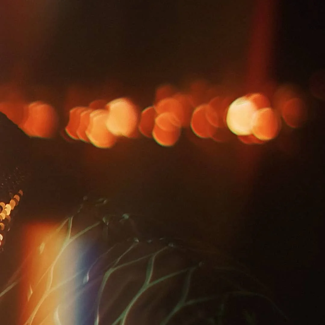 Bold new Miller TVC for @mgd_southafrica we handled the Edit/Grade on. 

Edit/Grade: @twelveeleven.studio

Client - @callme_mongz
Agency: @raptcreative_africa
Executive Creative Director - @thegoodraven
Art Director - @mishbyram
DOP - @ryan_janssens
