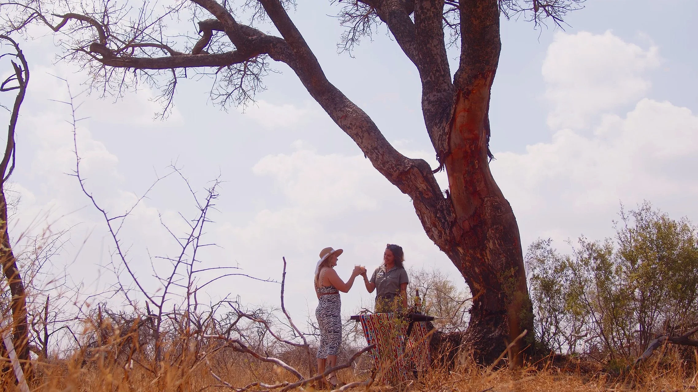 FREEPOUR |  Cheers! Mzansi