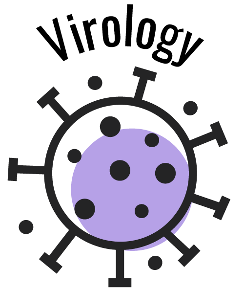 Virology Services | HPV, Viral Hepatitis and HIV Testing  | Cambridge Clinical Laboratories (Copy) (Copy)