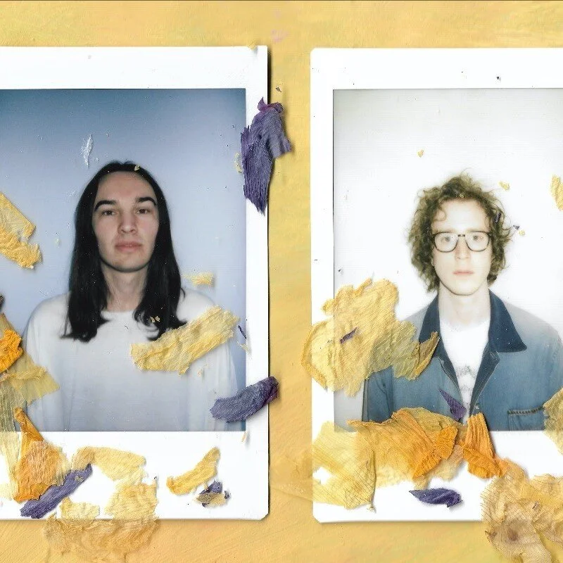 Profile: Meadow Meadow