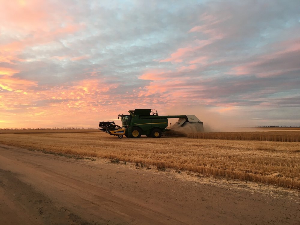 About Generation Ag — Generation AG