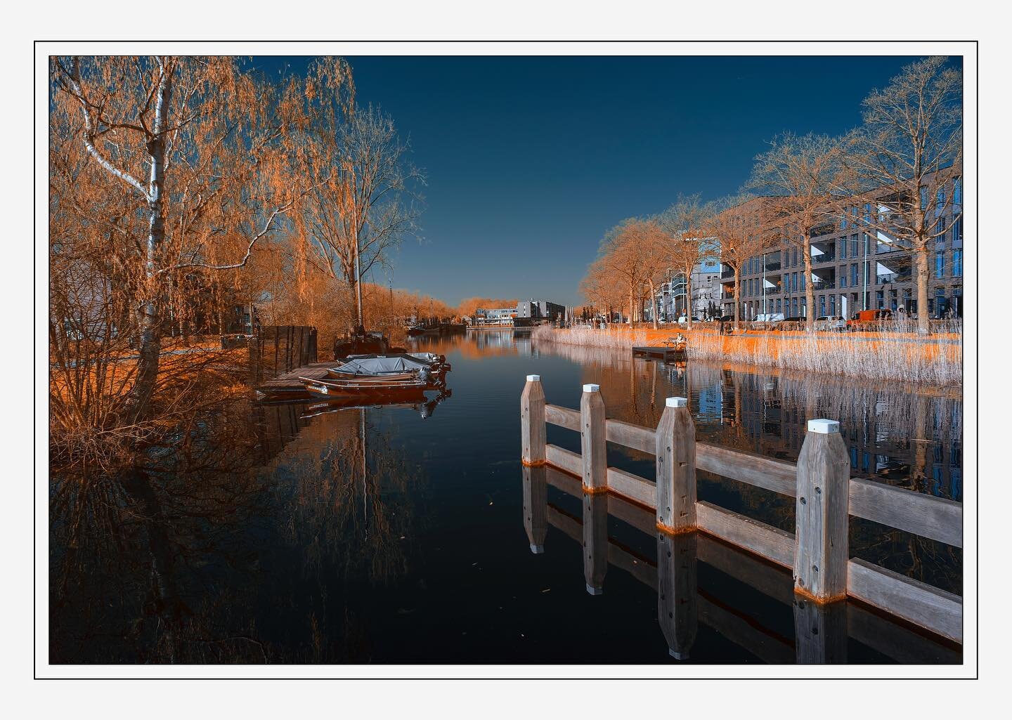 Full conversion infrared nikon D610 camera with 590Nm filter. 
Piushaven, Tilburg, Netherlands.
.
.
.
.
.
.

#tilburg #infrarednikon #NoordBrabant #Netherlands
#netherlands #infrared #ir #590 #590nm #fullconversion #conversion #infraredconvertedcamer