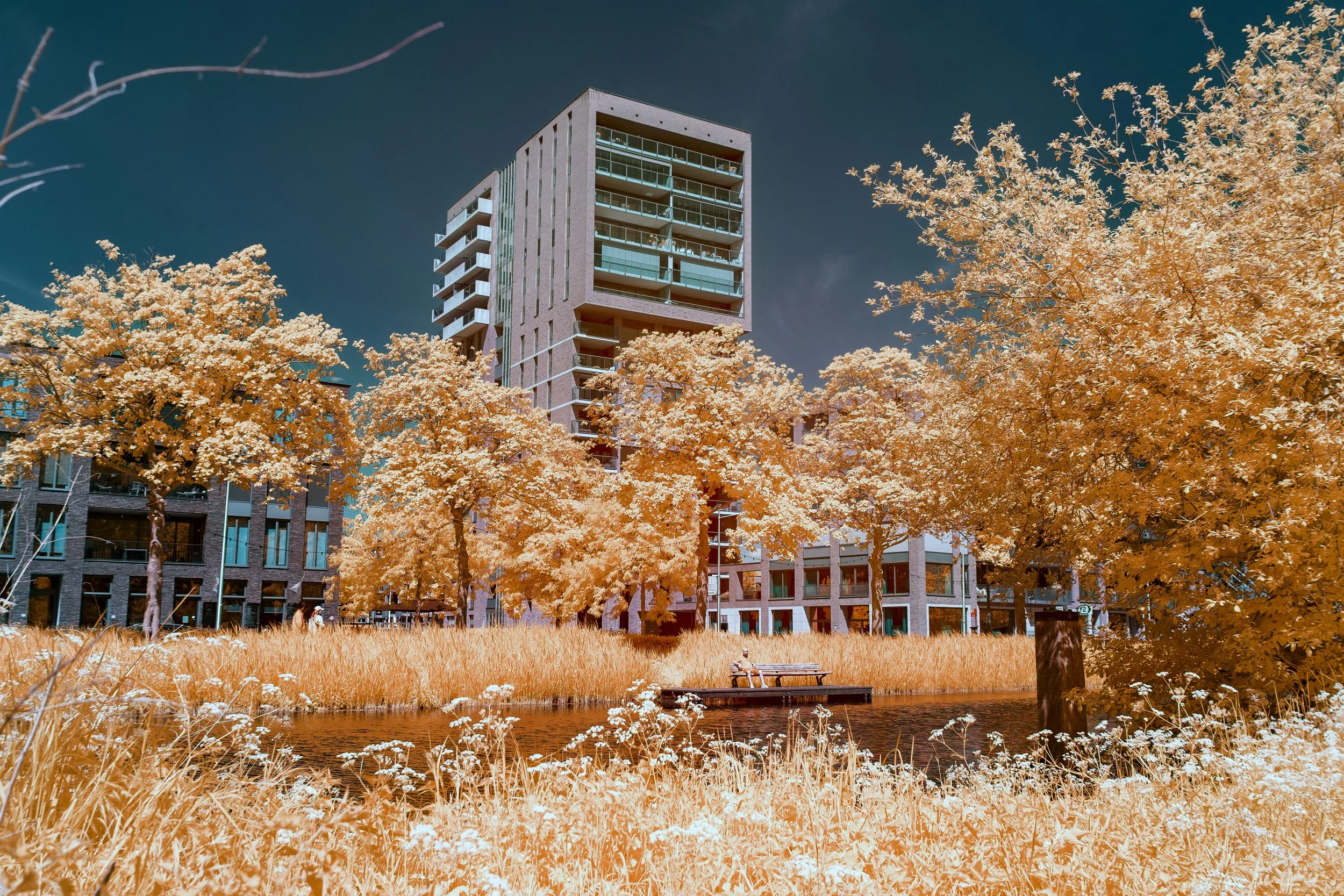20250509 Infrarood Piushave Tilburg_JorisBuijsFotografie_JBF9642.JPG
