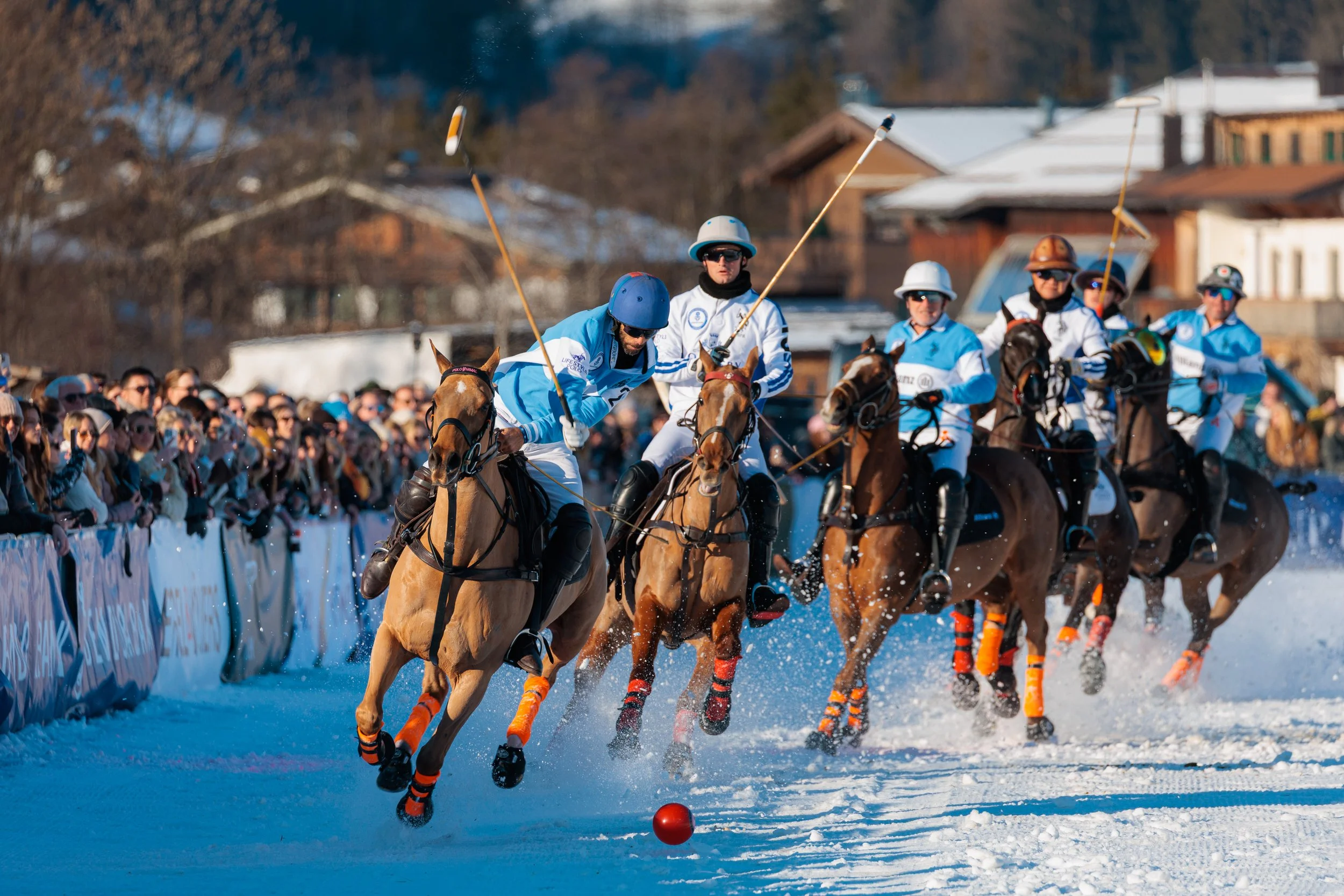 New Trophy, New Champions